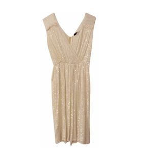 Sequin Plunge Neck A-Line Dress